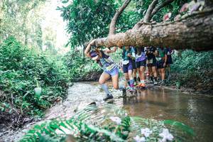 BIB: 
                            <button type="button" onclick="openModal(25468241)" class="btn btn-primary btn-sm float-right btn-popup" data-toggle="modal" data-target=".modal-high-quality">
                        <i class="fas fa-shopping-cart"></i> Add to Cart
                    </button>
                                            <button type="button" onclick="isThisMe(25468241, true)" class="btn btn-success btn-sm float-right btn-popup btn-isme hidden" data-toggle="tooltip" data-placement="bottom" title="นี่คือรูปของคุณใช่ไหม คลิกที่นี่เพื่อเอาเข้าอัลบั้ม">
                        <i class="fas fa-plus"></i> Add to album
                    </button>
                    <button type="button" onclick="isThisMe(25468241, false)" class="btn btn-warning btn-sm float-right btn-popup btn-isnotme hidden">
                        <i class="fas fa-ban"></i> Remove from album
                    </button>